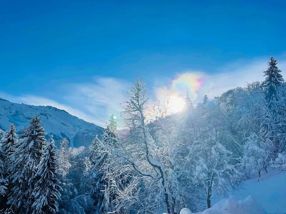 Le Chalet De Bemont Samoens Holiday home